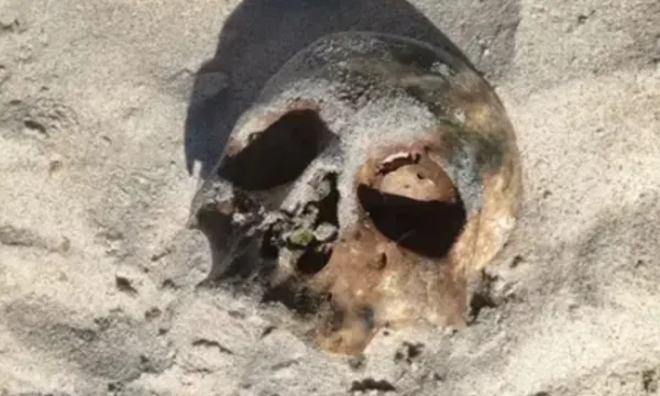 Mistério na praia: crânio aparece em praia de Salvador